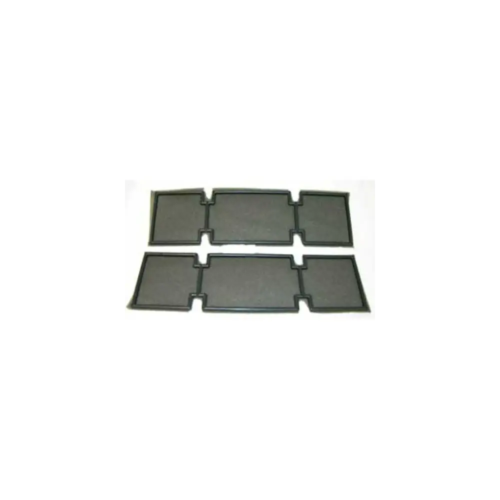 Air Conditioner Filter - Pack Of 2 - DOM3100281P009